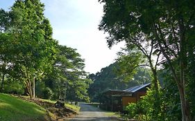 Sepilok B&B
